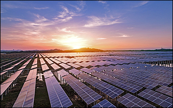 Waaree Solar Americas WSA Secures 599MW Order in U.S., Surpassing 1200MW+ in New Deals for FY25-26 Q1 — Underscoring Resilience and Growing Momentum in the American Market